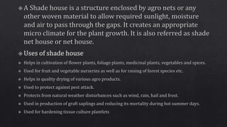 Propagating structures