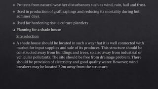 Propagating structures