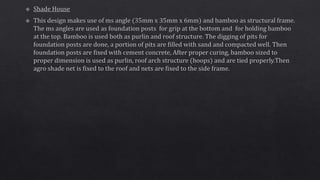 Propagating structures