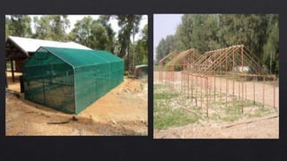 Propagating structures