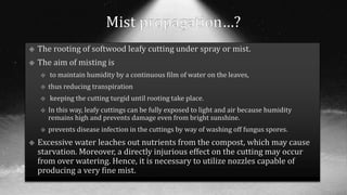 Propagating structures