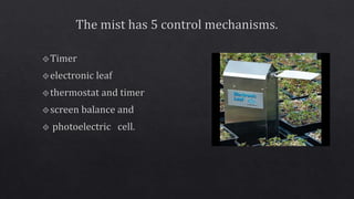 Propagating structures