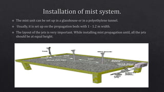 Propagating structures