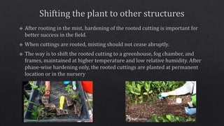 Propagating structures
