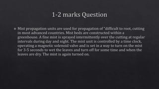 Propagating structures