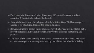 Propagating structures
