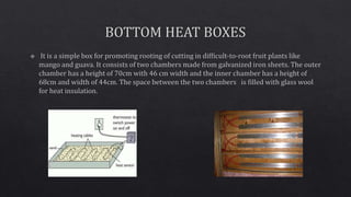 Propagating structures