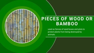 PIECES OF WOOD OR
BAMBOO
used as fences of seed boxes and plots to
protect plants from being destroyed by
animals.
 