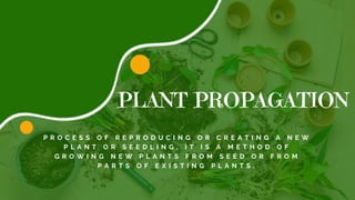 PLANT PROPAGATION
P R O C E S S O F R E P R O D U C I N G O R C R E A T I N G A N E W
P L A N T O R S E E D L I N G . I T I S A M E T H O D O F
G R O W I N G N E W P L A N T S F R O M S E E D O R F R O M
P A R T S O F E X I S T I N G P L A N T S .
 