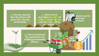 4. You can demand
for a good price in
selling good quality
plants.
1 . You are assured
that the plants will
grow fast, strong,
and healthy.
2. There is less
mortality or death of
plants because pests
and diseases will be
controlled.
3. More plants can be
grown and
harvested.
5. There is more
profit gained for
more harvest and
your plants are of the
best kind.
 
