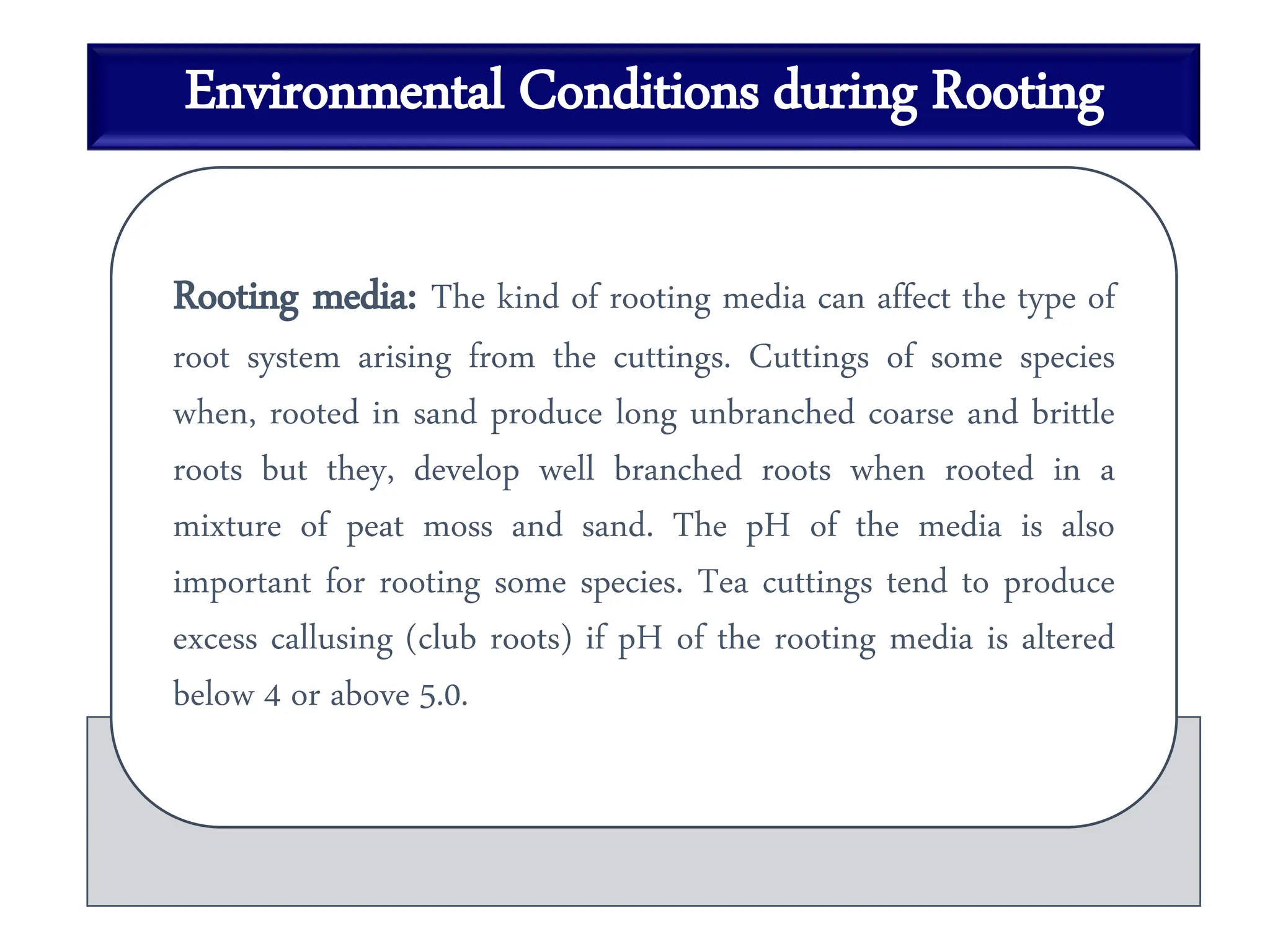Environmental Conditions during Rooting
Rooting media: The kind of rooting media can affect the type of
root system arising from the cuttings. Cuttings of some species
when, rooted in sand produce long unbranched coarse and brittle
roots but they, develop well branched roots when rooted in a
mixture of peat moss and sand. The pH of the media is also
important for rooting some species. Tea cuttings tend to produce
excess callusing (club roots) if pH of the rooting media is altered
below 4 or above 5.0.
 