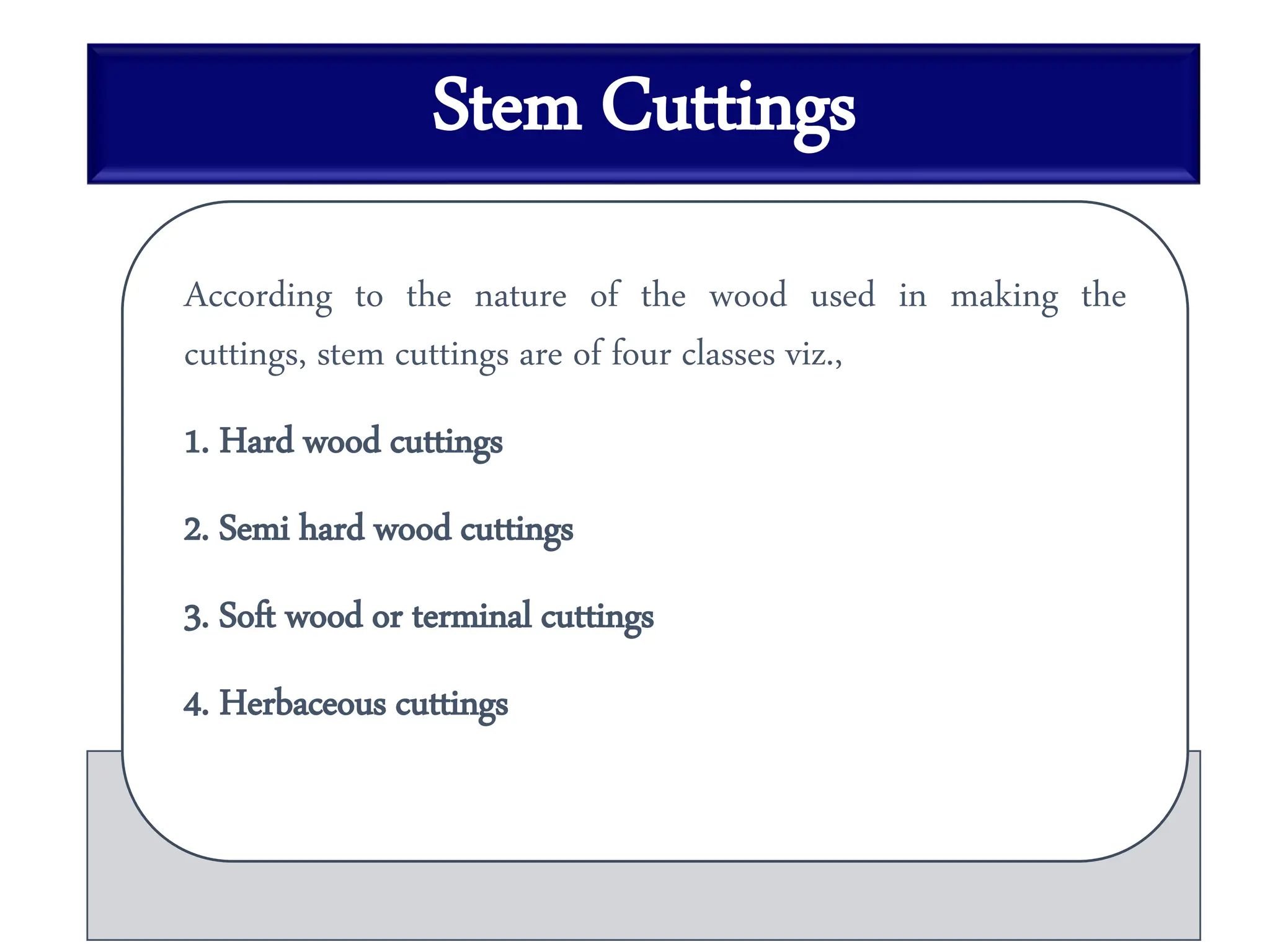 Stem Cuttings
According to the nature of the wood used in making the
cuttings, stem cuttings are of four classes viz.,
1. Hard wood cuttings
2. Semi hard wood cuttings
3. Soft wood or terminal cuttings
4. Herbaceous cuttings
 