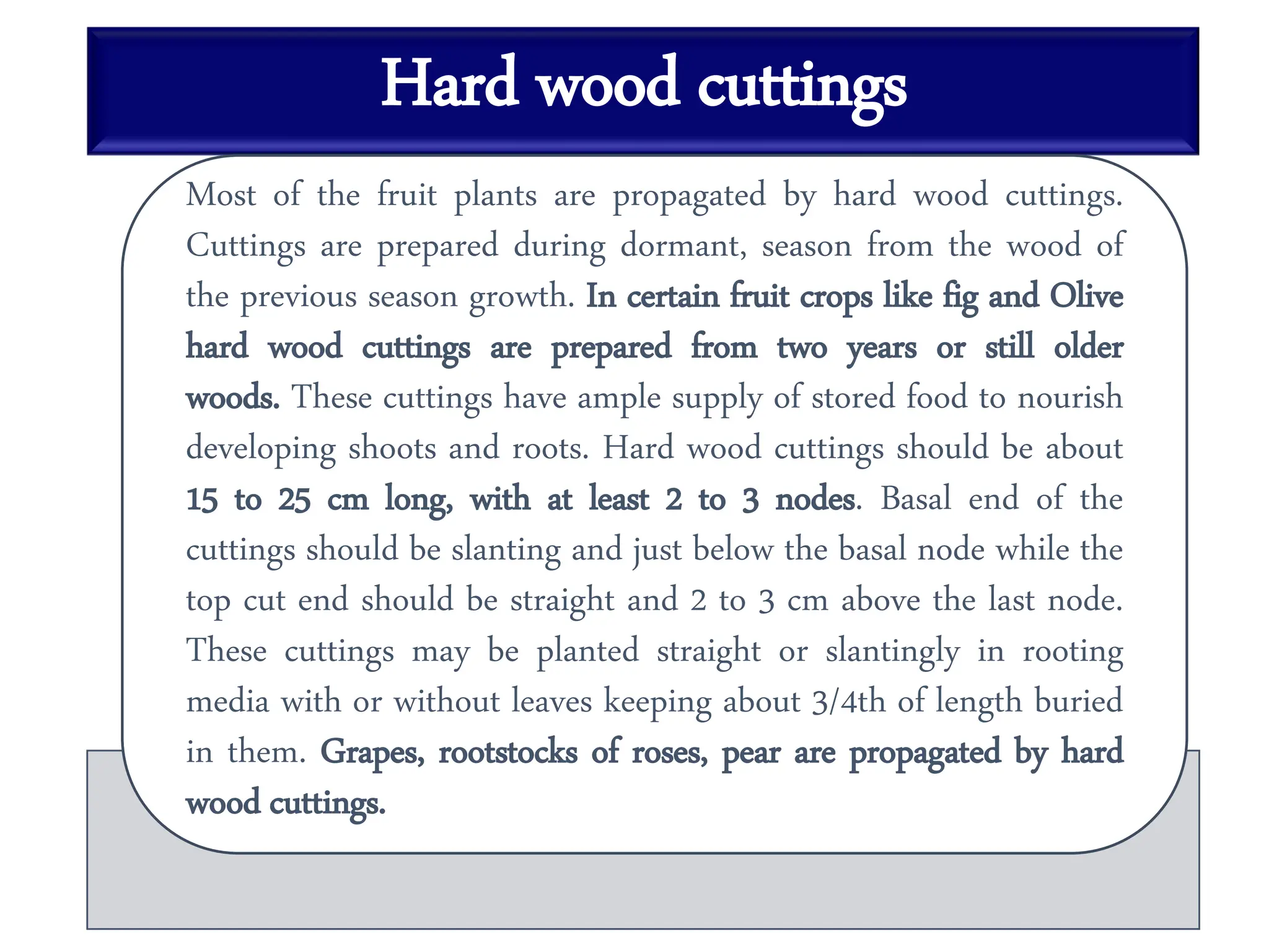 Hard wood cuttings
Most of the fruit plants are propagated by hard wood cuttings.
Cuttings are prepared during dormant, season from the wood of
the previous season growth. In certain fruit crops like fig and Olive
hard wood cuttings are prepared from two years or still older
woods. These cuttings have ample supply of stored food to nourish
developing shoots and roots. Hard wood cuttings should be about
15 to 25 cm long, with at least 2 to 3 nodes. Basal end of the
cuttings should be slanting and just below the basal node while the
top cut end should be straight and 2 to 3 cm above the last node.
These cuttings may be planted straight or slantingly in rooting
media with or without leaves keeping about 3/4th of length buried
in them. Grapes, rootstocks of roses, pear are propagated by hard
wood cuttings.
 