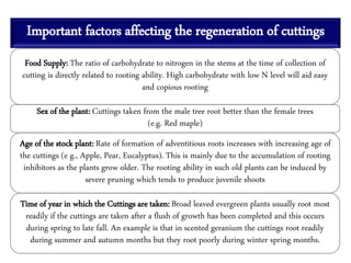 Important factors affecting the regeneration of cuttings
Food Supply: The ratio of carbohydrate to nitrogen in the stems at the time of collection of
cutting is directly related to rooting ability. High carbohydrate with low N level will aid easy
and copious rooting
Sex of the plant: Cuttings taken from the male tree root better than the female trees
(e.g. Red maple)
Age of the stock plant: Rate of formation of adventitious roots increases with increasing age of
the cuttings (e g., Apple, Pear, Eucalyptus). This is mainly due to the accumulation of rooting
inhibitors as the plants grow older. The rooting ability in such old plants can be induced by
severe pruning which tends to produce juvenile shoots
Time of year in which the Cuttings are taken: Broad leaved evergreen plants usually root most
readily if the cuttings are taken after a flush of growth has been completed and this occurs
during spring to late fall. An example is that in scented geranium the cuttings root readily
during summer and autumn months but they root poorly during winter spring months.
 