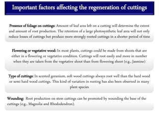 Important factors affecting the regeneration of cuttings
Presence of foliage on cuttings: Amount of leaf area left on a cutting will determine the extent
and amount of root production. The retention of a large photosynthetic leaf area will not only
reduce losses of cuttings but produce more strongly rooted cuttings in a shorter period of time
Flowering or vegetative wood: In most plants, cuttings could be made from shoots that are
either in a flowering or vegetative condition. Cuttings will root easily and more in number
when they are taken from the vegetative shoot than from flowering shoot (e.g., Jasmine)
Type of cuttings: In scented geranium, soft wood cuttings always root well than the hard wood
or semi hard wood cuttings. This kind of variation in rooting has also been observed in many
plant species
Wounding: Root production on stem cuttings can be promoted by wounding the base of the
cuttings (e.g., Magnolia and Rhododendron).
 