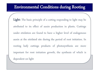 Environmental Conditions during Rooting
Light: The basic principle of a cutting responding to light may be
attributed to its effect of auxin production in plants. Cuttings
under etiolation are found to have a higher level of endogenous
auxin at the etiolated site during the period of root initiation. In
rooting leafy cuttings products of photosynthesis are more
important for root initiation growth, the synthesis of which is
dependent on light
 