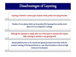 Disadvantages of Layering
Layering is limited to certain types of plants which produce low-lying branches.
Number of new plants which can be produced by layering from mother stock-
plant is low as compared to cuttings.
Although the operation is simple, after care of the layers is essential, this requires
daily watering to maintain a very good growth
Special platforms have to be erected and special provisions have been made for
constant watering of the layered shoots in- case where branches or shoots at high
level are to be slavered.
 