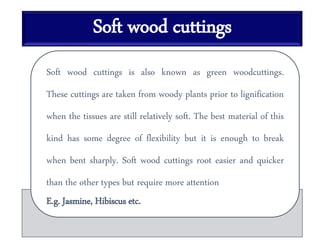 Soft wood cuttings
Soft wood cuttings is also known as green woodcuttings.
These cuttings are taken from woody plants prior to lignification
when the tissues are still relatively soft. The best material of this
kind has some degree of flexibility but it is enough to break
when bent sharply. Soft wood cuttings root easier and quicker
than the other types but require more attention
E.g. Jasmine, Hibiscus etc.
 