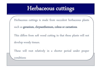 Herbaceous cuttings
Herbaceous cuttings is made from succulent herbaceous plants
such as geranium, chrysanthemum, coleus or carnations.
This differs from soft wood cutting in that these plants will not
develop woody tissues.
These will root relatively in a shorter period under proper
conditions
 