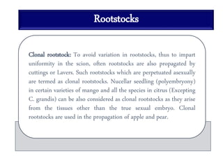 Rootstocks
Clonal rootstock: To avoid variation in rootstocks, thus to impart
uniformity in the scion, often rootstocks are also propagated by
cuttings or Lavers. Such rootstocks which are perpetuated asexually
are termed as clonal rootstocks. Nucellar seedling (polyembryony)
in certain varieties of mango and all the species in citrus (Excepting
C. grandis) can be also considered as clonal rootstocks as they arise
from the tissues other than the true sexual embryo. Clonal
rootstocks are used in the propagation of apple and pear.
 
