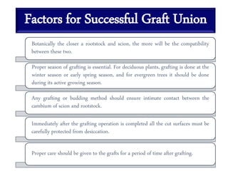 Factors for Successful Graft Union
Botanically the closer a rootstock and scion, the more will be the compatibility
between these two.
Proper season of grafting is essential. For deciduous plants, grafting is done at the
winter season or early spring season, and for evergreen trees it should be done
during its active growing season.
Any grafting or budding method should ensure intimate contact between the
cambium of scion and rootstock.
Immediately after the grafting operation is completed all the cut surfaces must be
carefully protected from desiccation.
Proper care should be given to the grafts for a period of time after grafting.
 