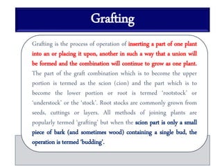 Grafting
Grafting is the process of operation of inserting a part of one plant
into an or placing it upon, another in such a way that a union will
be formed and the combination will continue to grow as one plant.
The part of the graft combination which is to become the upper
portion is termed as the scion (cion) and the part which is to
become the lower portion or root is termed ‘rootstock’ or
‘understock’ or the ‘stock’. Root stocks are commonly grown from
seeds, cuttings or layers. All methods of joining plants are
popularly termed ‘grafting’ but when the scion part is only a small
piece of bark (and sometimes wood) containing a single bud, the
operation is termed ‘budding’.
 