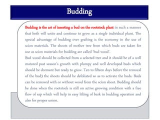 Budding
Budding is the art of inserting a bud on the rootstock plant in such a manner
that both will unite and continue to grow as a single individual plant. The
special advantage of budding over grafting is the economy in the use of
scion materials. The shoots of mother tree from which buds are taken for
use as scion materials for budding are called ‘bud wood’.
Bud wood should be collected from a selected tree and it should be of a well
matured past season’s growth with plumpy and well developed buds which
should be dormant but ready to grow. Ten to fifteen days before the removal
of the bud3 the shoots should be defoliated so as to activate the buds. Buds
can be removed with or without wood from the scion shoot. Budding should
be done when the rootstock is still on active growing condition with a free
flow of sap which will help in easy lifting of bark in budding operation and
also for proper union.
 