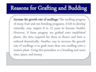 Reasons for Grafting and Budding
Increase the growth rate of seedlings: The seedling progeny
of many fruit and nut breeding programs, if left to develop
naturally, may require 8 to 12 years to become fruitful.
However, if these progeny are grafted onto established
plants, the time required for them to flower and fruit is
reduced dramatically. Another way to increase the growth
rate of seedlings is to graft more than one seedling onto a
mature plant. Using this procedure as a breeding tool saves
time, space, and money
 