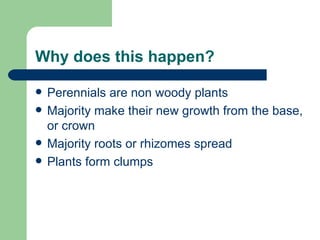 Why does this happen? Perennials are non woody plants Majority make their new growth from the base, or crown Majority roots or rhizomes spread Plants form clumps 