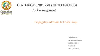 Propagation Methods In Fruits Crops
Submitted by:
A. Amrutha Varshini
220804130118
Section-C
Bsc Agriculture
CENTURION UNIVERSITY OF TECHNOLOGY
And management
 