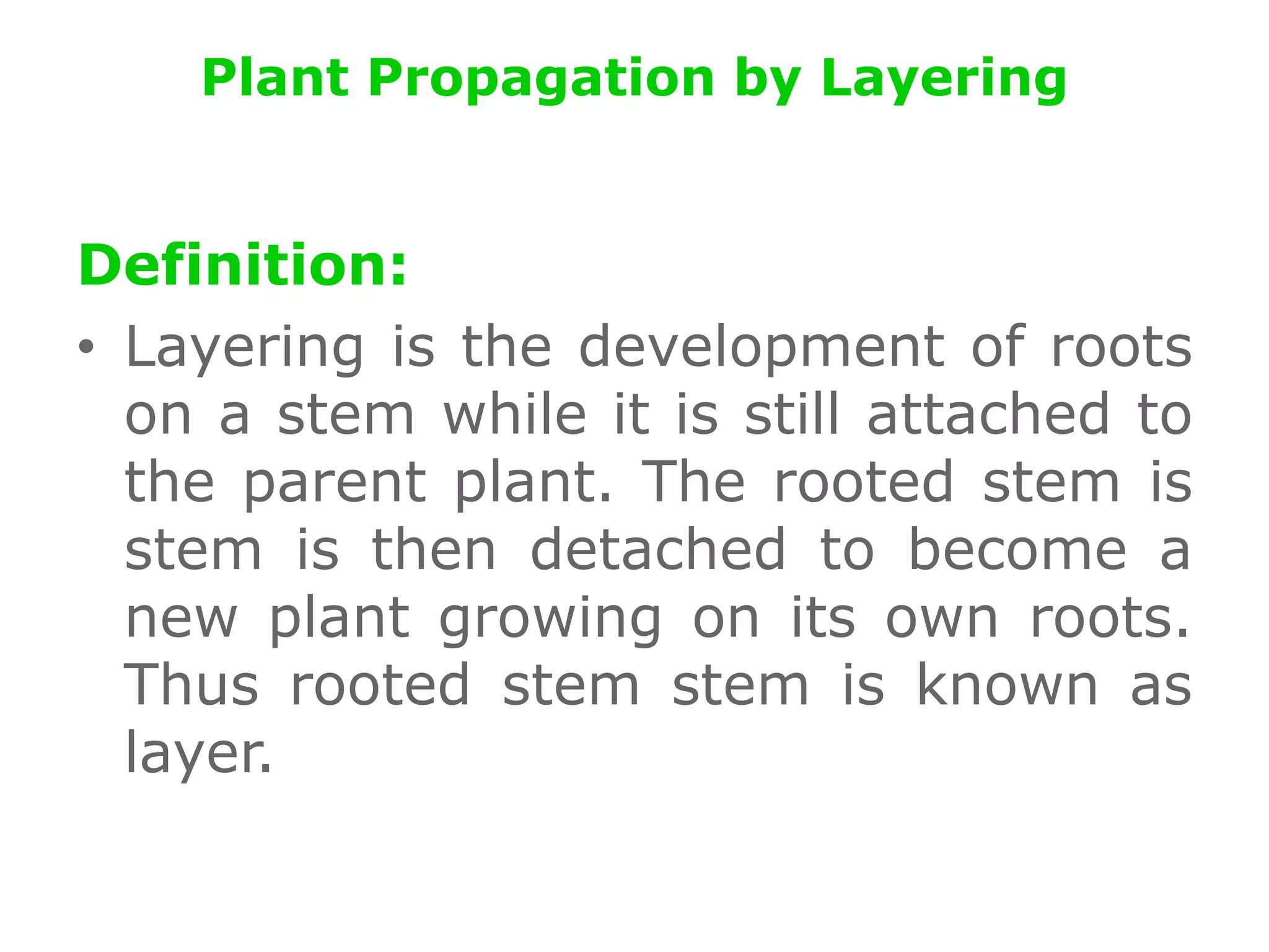 Plant Propagation by Layering
Definition:
• Layering is the development of roots
on a stem while it is still attached to
the parent plant. The rooted stem is
stem is then detached to become a
new plant growing on its own roots.
Thus rooted stem stem is known as
layer.
 