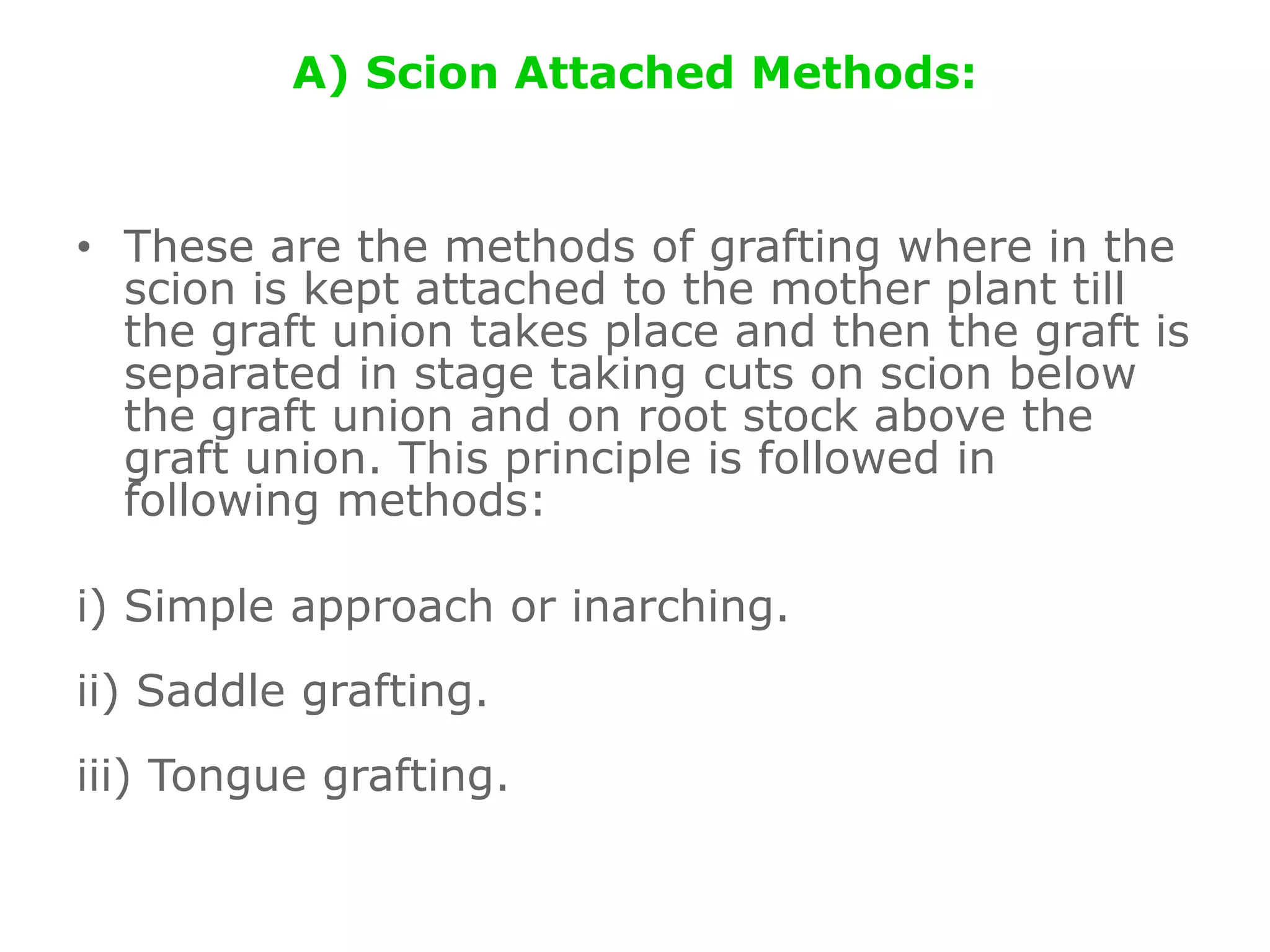 A) Scion Attached Methods:
• These are the methods of grafting where in the
scion is kept attached to the mother plant till
the graft union takes place and then the graft is
separated in stage taking cuts on scion below
the graft union and on root stock above the
graft union. This principle is followed in
following methods:
i) Simple approach or inarching.
ii) Saddle grafting.
iii) Tongue grafting.
 