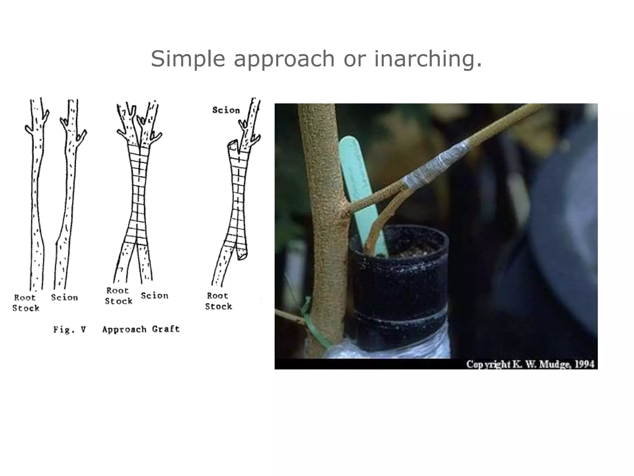 Simple approach or inarching.
 