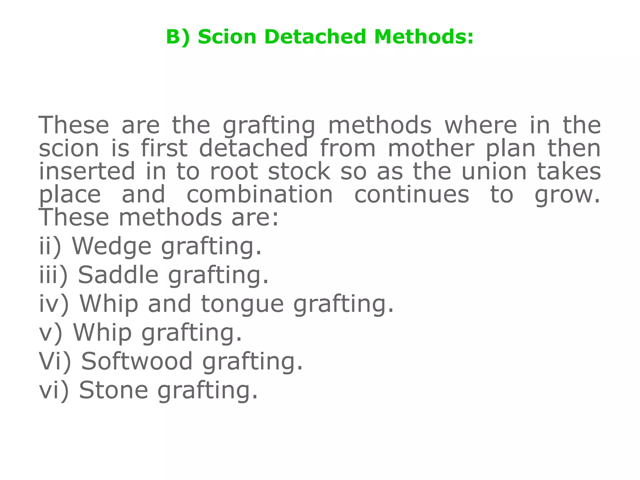 B) Scion Detached Methods:
These are the grafting methods where in the
scion is first detached from mother plan then
inserted in to root stock so as the union takes
place and combination continues to grow.
These methods are:
ii) Wedge grafting.
iii) Saddle grafting.
iv) Whip and tongue grafting.
v) Whip grafting.
Vi) Softwood grafting.
vi) Stone grafting.
 