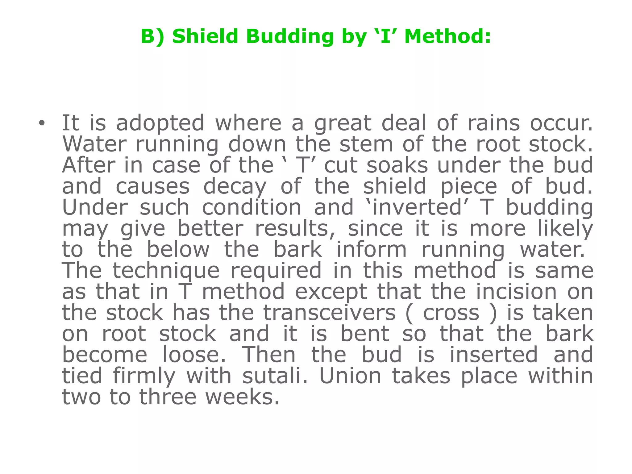 B) Shield Budding by ‘I’ Method:
• It is adopted where a great deal of rains occur.
Water running down the stem of the root stock.
After in case of the ‘ T’ cut soaks under the bud
and causes decay of the shield piece of bud.
Under such condition and ‘inverted’ T budding
may give better results, since it is more likely
to the below the bark inform running water.
The technique required in this method is same
as that in T method except that the incision on
the stock has the transceivers ( cross ) is taken
on root stock and it is bent so that the bark
become loose. Then the bud is inserted and
tied firmly with sutali. Union takes place within
two to three weeks.
 