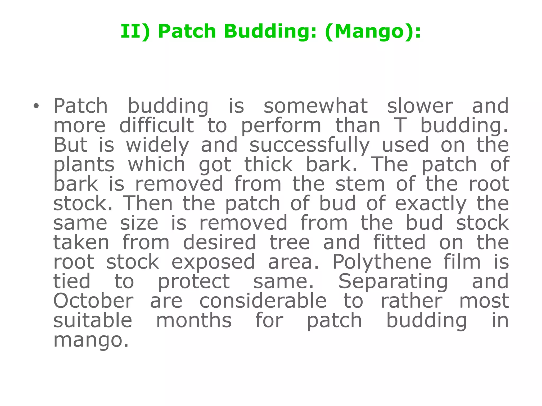 II) Patch Budding: (Mango):
• Patch budding is somewhat slower and
more difficult to perform than T budding.
But is widely and successfully used on the
plants which got thick bark. The patch of
bark is removed from the stem of the root
stock. Then the patch of bud of exactly the
same size is removed from the bud stock
taken from desired tree and fitted on the
root stock exposed area. Polythene film is
tied to protect same. Separating and
October are considerable to rather most
suitable months for patch budding in
mango.
 