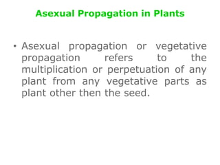 Asexual Propagation in Plants
• Asexual propagation or vegetative
propagation refers to the
multiplication or perpetuation of any
plant from any vegetative parts as
plant other then the seed.
 