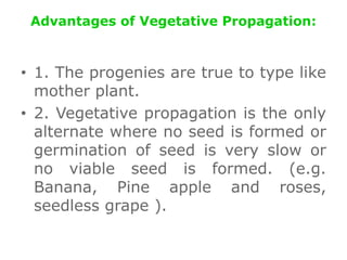 Advantages of Vegetative Propagation:
• 1. The progenies are true to type like
mother plant.
• 2. Vegetative propagation is the only
alternate where no seed is formed or
germination of seed is very slow or
no viable seed is formed. (e.g.
Banana, Pine apple and roses,
seedless grape ).
 