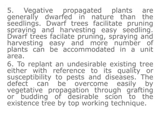 5. Vegative propagated plants are
generally dwarfed in nature than the
seedlings. Dwarf trees facilitate pruning
spraying and harvesting easy seedling.
Dwarf trees facilate pruning, spraying and
harvesting easy and more number of
plants can be accommodated in a unit
area.
6. To replant an undesirable existing tree
either with reference to its quality or
susceptibility to pests and diseases. The
defect can be overcome easily by
vegetative propagation through grafting
or budding of desirable scion to the
existence tree by top working technique.
 