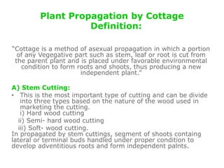 Plant Propagation by Cottage
Definition:
“Cottage is a method of asexual propagation in which a portion
of any Vegegative part such as stem, leaf or root is cut from
the parent plant and is placed under favorable environmental
condition to form roots and shoots, thus producing a new
independent plant.”
A) Stem Cutting:
• This is the most important type of cutting and can be divide
into three types based on the nature of the wood used in
marketing the cutting.
i) Hard wood cutting
ii) Semi- hard wood cutting
iii) Soft- wood cutting.
In propagated by stem cuttings, segment of shoots containg
lateral or terminal buds handled under proper condition to
develop adventitious roots and form independent palnts.
 