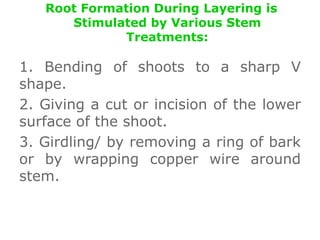 Root Formation During Layering is
Stimulated by Various Stem
Treatments:
1. Bending of shoots to a sharp V
shape.
2. Giving a cut or incision of the lower
surface of the shoot.
3. Girdling/ by removing a ring of bark
or by wrapping copper wire around
stem.
 