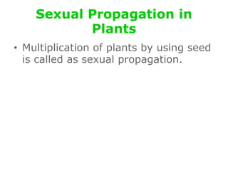 Sexual Propagation in
Plants
• Multiplication of plants by using seed
is called as sexual propagation.
 