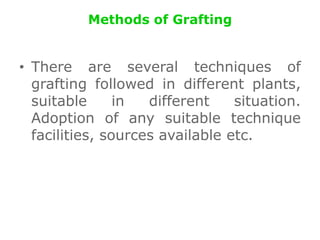 Methods of Grafting
• There are several techniques of
grafting followed in different plants,
suitable in different situation.
Adoption of any suitable technique
facilities, sources available etc.
 