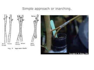 Simple approach or inarching.
 