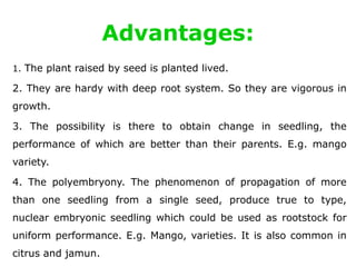 Advantages:
1. The plant raised by seed is planted lived.
2. They are hardy with deep root system. So they are vigorous in
growth.
3. The possibility is there to obtain change in seedling, the
performance of which are better than their parents. E.g. mango
variety.
4. The polyembryony. The phenomenon of propagation of more
than one seedling from a single seed, produce true to type,
nuclear embryonic seedling which could be used as rootstock for
uniform performance. E.g. Mango, varieties. It is also common in
citrus and jamun.
 