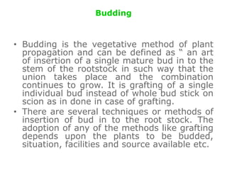 Budding
• Budding is the vegetative method of plant
propagation and can be defined as “ an art
of insertion of a single mature bud in to the
stem of the rootstock in such way that the
union takes place and the combination
continues to grow. It is grafting of a single
individual bud instead of whole bud stick on
scion as in done in case of grafting.
• There are several techniques or methods of
insertion of bud in to the root stock. The
adoption of any of the methods like grafting
depends upon the plants to be budded,
situation, facilities and source available etc.
 