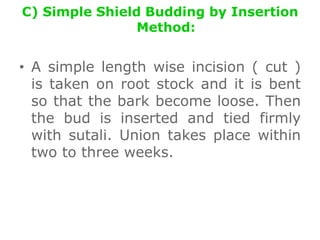 C) Simple Shield Budding by Insertion
Method:
• A simple length wise incision ( cut )
is taken on root stock and it is bent
so that the bark become loose. Then
the bud is inserted and tied firmly
with sutali. Union takes place within
two to three weeks.
 