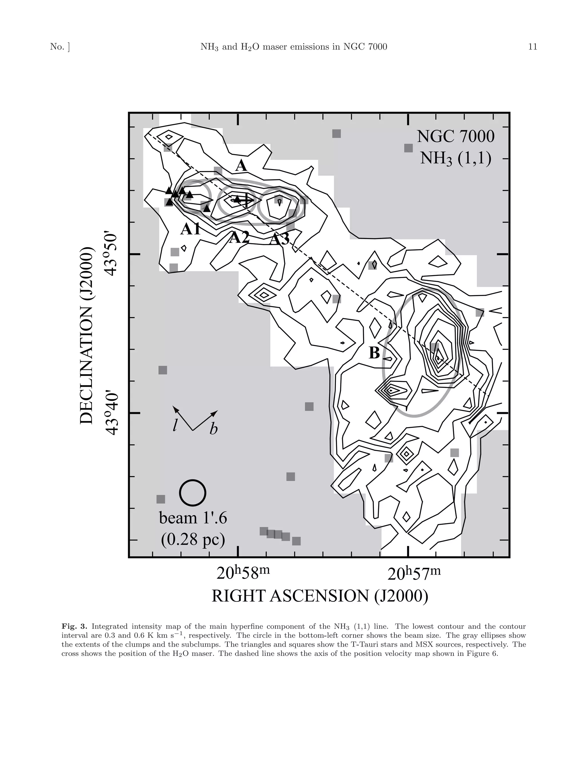 No. ]                                   NH3 and H2 O maser emissions in NGC 7000                                                       11




                                                                                                     NGC 7000
                                                  A                                                  NH3 (1,1)


                                      A1
                        43o50'




                                                A2         A3
         DECLINATION (J2000)




                                                                                       B
        43o40'




                                  l        b



                                 beam 1'.6
                                 (0.28 pc)
                                            20h58m            20h57m
                                            RIGHT ASCENSION (J2000)
  Fig. 3. Integrated intensity map of the main hyperﬁne component of the NH3 (1,1) line. The lowest contour and the contour
  interval are 0.3 and 0.6 K km s−1 , respectively. The circle in the bottom-left corner shows the beam size. The gray ellipses show
  the extents of the clumps and the subclumps. The triangles and squares show the T-Tauri stars and MSX sources, respectively. The
  cross shows the position of the H2 O maser. The dashed line shows the axis of the position velocity map shown in Figure 6.
 