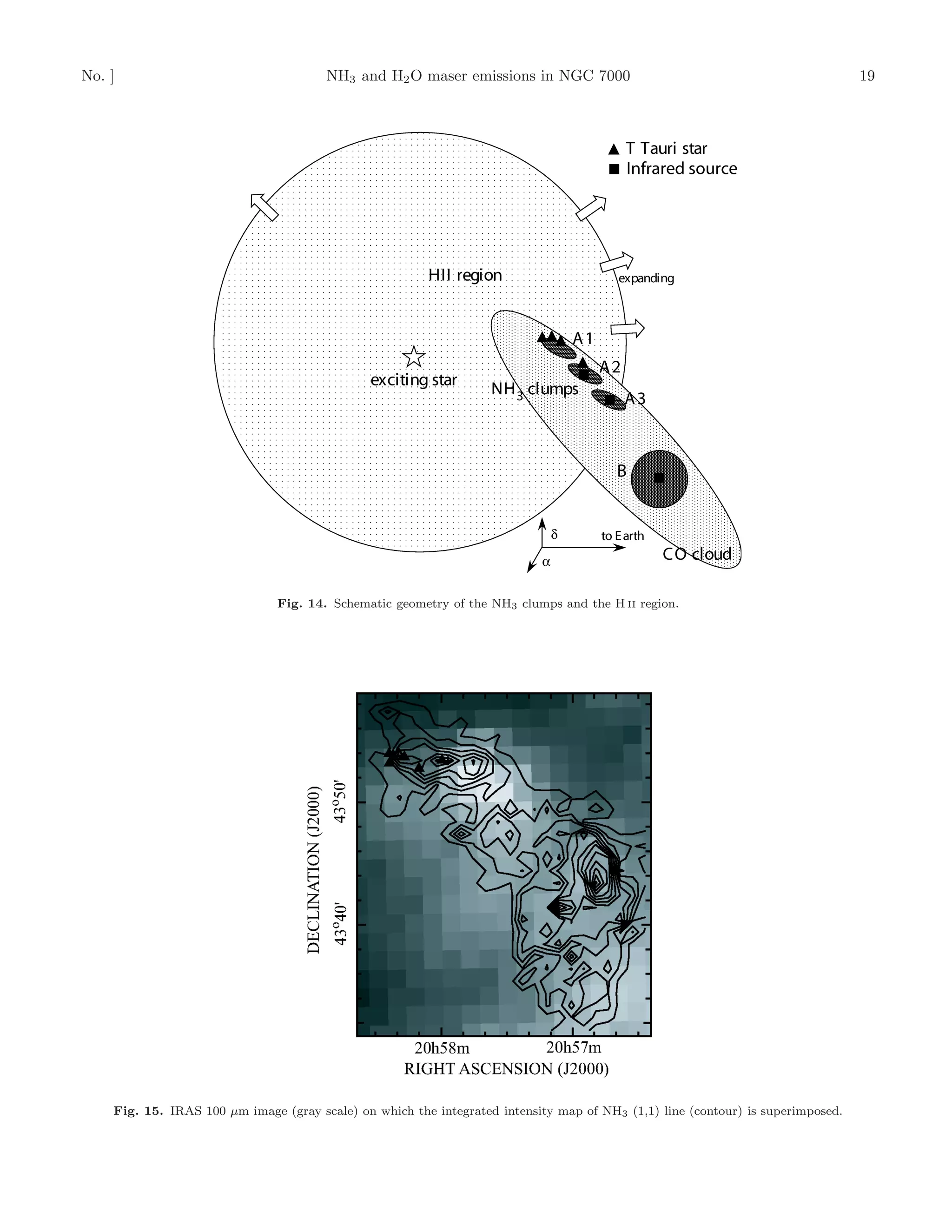 No. ]                                  NH3 and H2 O maser emissions in NGC 7000                                                  19




                               Fig. 14. Schematic geometry of the NH3 clumps and the H II region.




    Fig. 15. IRAS 100 µm image (gray scale) on which the integrated intensity map of NH3 (1,1) line (contour) is superimposed.
 