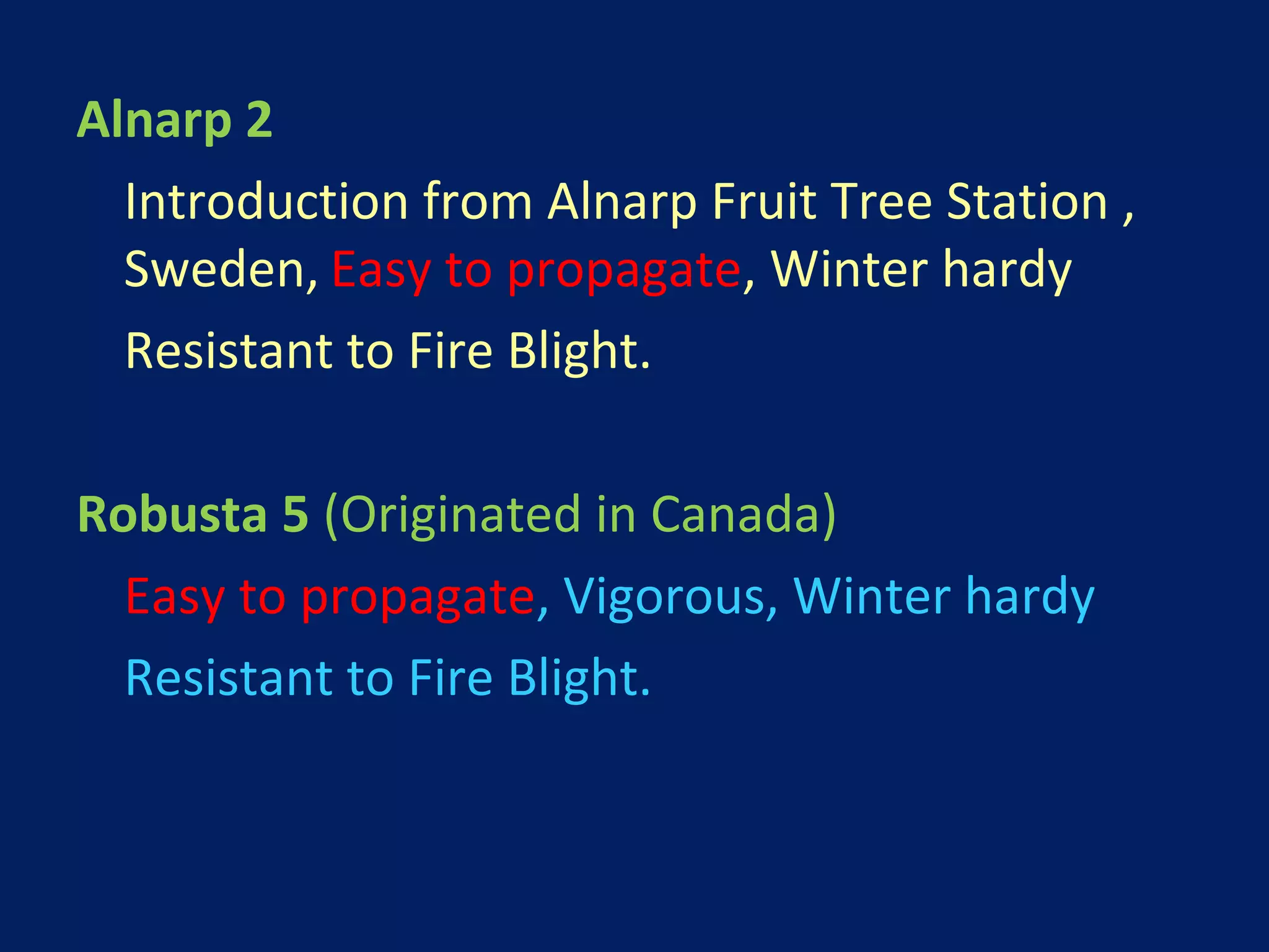 Alnarp 2
Introduction from Alnarp Fruit Tree Station ,
Sweden, Easy to propagate, Winter hardy
Resistant to Fire Blight.
Robusta 5 (Originated in Canada)
Easy to propagate, Vigorous, Winter hardy
Resistant to Fire Blight.
 